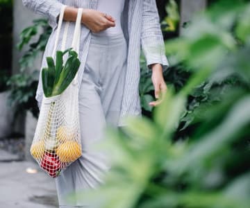 fruits